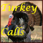 Turkey Calls HD apk icon