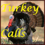 Turkey Calls HD APK