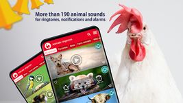 Animaux: Sonneries capture d'écran apk 6