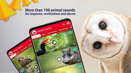 Animales: Tonos de llamada captura de pantalla apk 