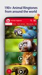 Animals: Ringtones screenshot apk 14