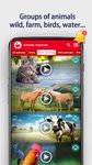 Animales: Tonos de llamada captura de pantalla apk 12