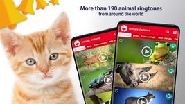 Animales: Tonos de llamada captura de pantalla apk 11