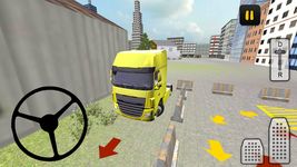 Lieferung LKW Fahrer 3D Bild 2