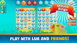 Lua Bingo captura de pantalla apk 3
