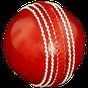 Cricket Coaching Tutorials apk icon