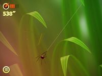 Captura de tela do apk Spider Trouble 11