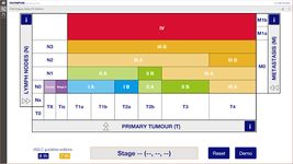 Imagine Lung Cancer Staging Table 12