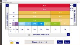 Imagine Lung Cancer Staging Table 8