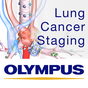Lung Cancer Staging Table APK