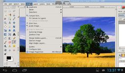 XGimp Image Editor afbeelding 1