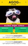 Imagen 3 de VoLT - Vocabulary Learning