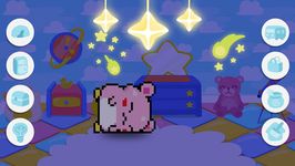 Pakka Pets Village image 20