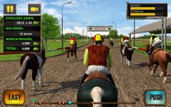 Картинка 1 Horse Derby Quest 2016