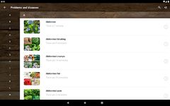 Natural Remedies screenshot apk 7