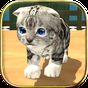 Icoană Cat Simulator : Kitty Craft