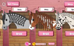 Horse Care - Mane Braiding Bild 13