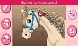 Horse Care - Mane Braiding Bild 11