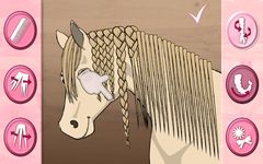 Horse Care - Mane Braiding Bild 8