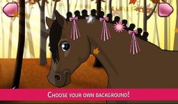 Horse Care - Mane Braiding Bild 16