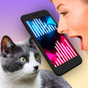 Ikon Kucing Penerjemah Simulator