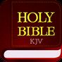 Icono de King James Bible - KJV Offline