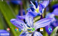 Macro Spring Live Wallpaper Screenshot APK 1