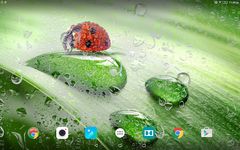 Macro Spring Live Wallpaper Screenshot APK 