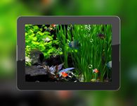 Tangkapan layar apk Aquarium 3D Wallpaper Hidup 12