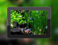 Aquarium 3D Live Wallpaper Screenshot APK 12