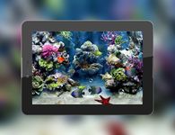 Screenshot 13 di Aquarium 3D Live Wallpaper apk