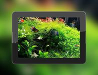 Tangkapan layar apk Aquarium 3D Wallpaper Hidup 16