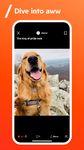 Reddit: Top Trending Content screenshot APK 11