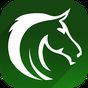 Free Horse Racing Picks & Tips