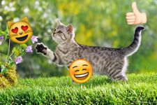 Emoji Photo Sticker Maker Pro afbeelding 11