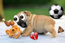 Emoji Photo Sticker Maker Pro afbeelding 10