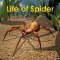 Ícone do apk Life of Spider