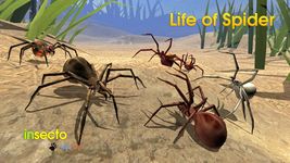 Imagem 6 do Life of Spider