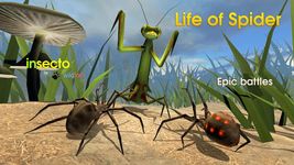 Imagem 5 do Life of Spider