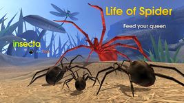 Imagem 3 do Life of Spider