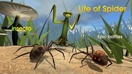 Imagem 17 do Life of Spider
