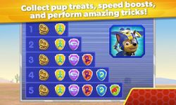 Imagen 9 de PAW Patrol Pups Take Flight