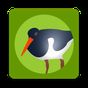 Die Vogel App! APK