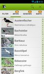 Die Vogel App! imgesi 9