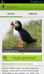 Die Vogel App! imgesi 8