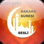 Bakara Suresi Sesli Ayet Ayet