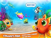 Fish Mania στιγμιότυπο apk 5