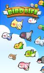 Bird Life screenshot apk 3