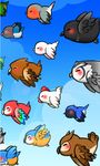 Bird Life screenshot apk 2