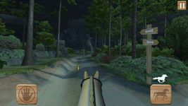 Imagem 12 do Pony Trails